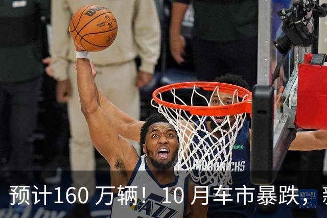 预计160 万辆！10 月车市暴跌，新能源独自托底
