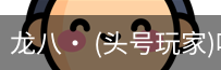 龙八头号玩家